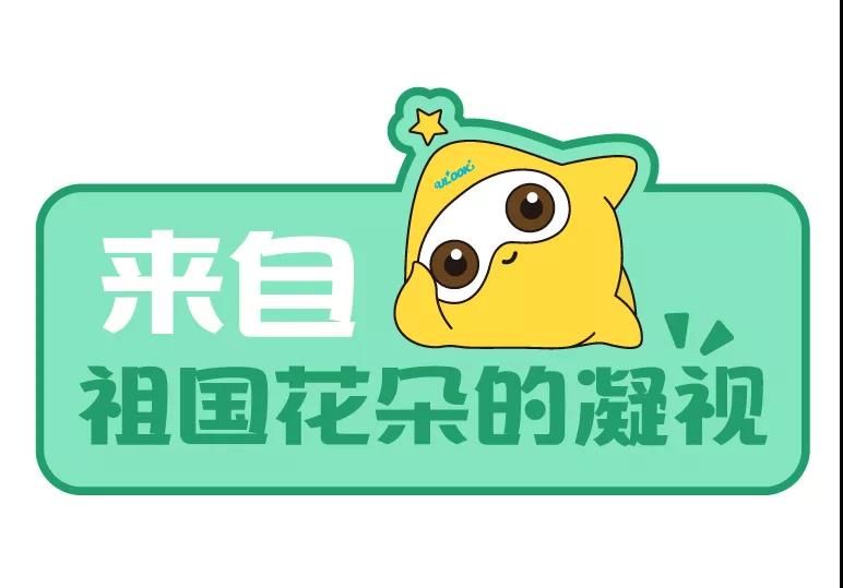918博天堂 --官网首页